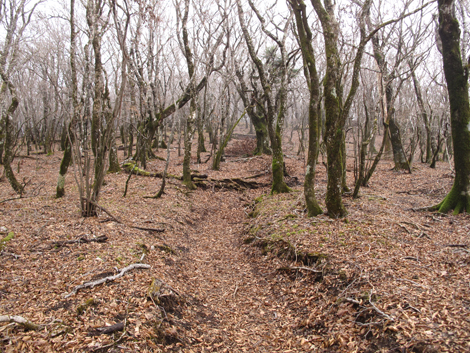 20181205hike (91)